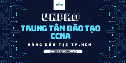 Click image for larger version

Name:	VNPRO.png
Views:	8
Size:	44.6 KB
ID:	430269