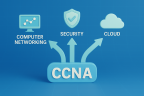 Click image for larger version

Name:	CCNA Specializations_ Pathways to Success.png
Views:	58
Size:	14.2 KB
ID:	430703
