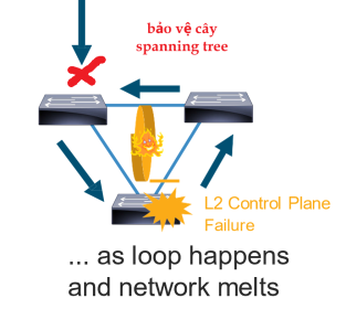 Click image for larger version

Name:	BaoVeCaySTP.png
Views:	16
Size:	36.1 KB
ID:	431128