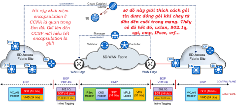 Click image for larger version

Name:	Encapsulation.png
Views:	5
Size:	74.2 KB
ID:	431372