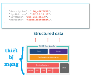 Click image for larger version

Name:	TraodoiDulieuCauTruc.png
Views:	17
Size:	23.0 KB
ID:	431705
