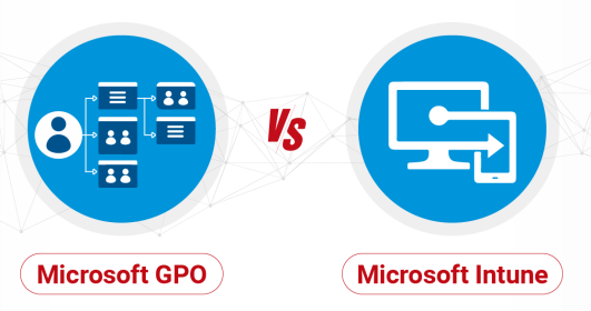 Click image for larger version

Name:	GPOvsIntune.png
Views:	4
Size:	45.0 KB
ID:	431715