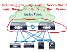 Click image for larger version

Name:	vPCNexus.png
Views:	2
Size:	35.0 KB
ID:	431978