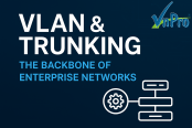 Click image for larger version

Name:	VLAN &amp; Trunking in Networks.png
Views:	12
Size:	18.2 KB
ID:	437490