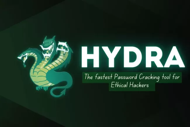 Click image for larger version

Name:	image_650x434_676d24ccbe163.webp
Views:	15
Size:	12.3 KB
ID:	438700