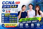Click image for larger version

Name:	Thiết kế chưa có tên (5).png
Views:	0
Size:	34.3 KB
ID:	440936