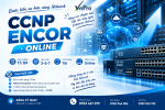 Click image for larger version

Name:	Untitled Design (24).png
Views:	0
Size:	31.5 KB
ID:	444891